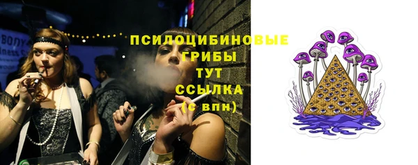 стафф Горнозаводск