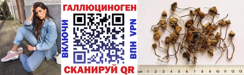 где найти наркотики  Санкт-Петербург  MEGA tor  Галлюциногенные грибы прущие грибы 